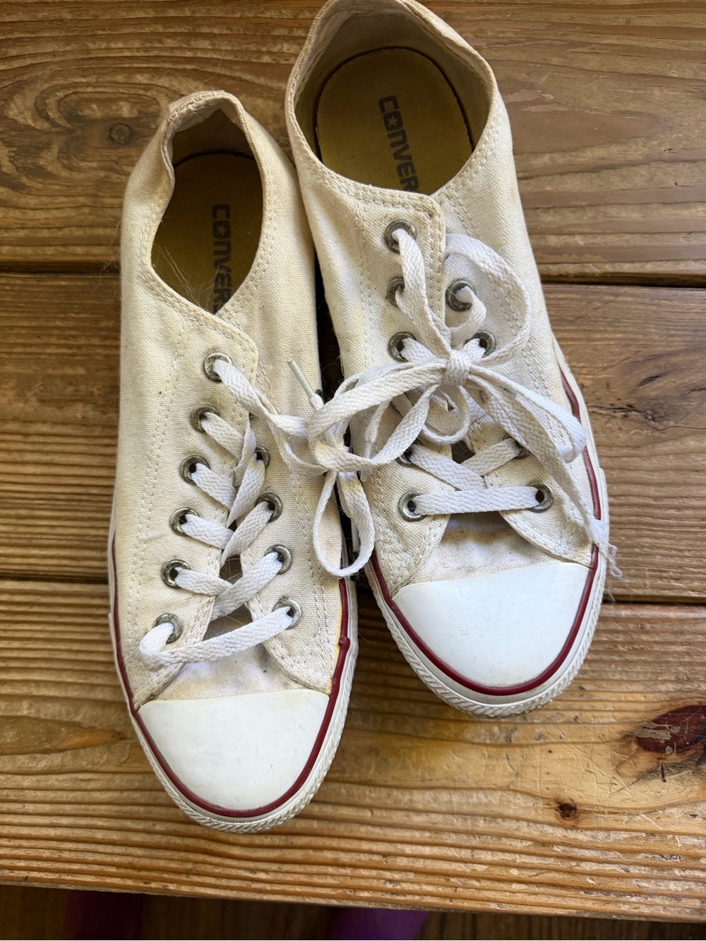 Converse Canvas Low-Top Sneakers